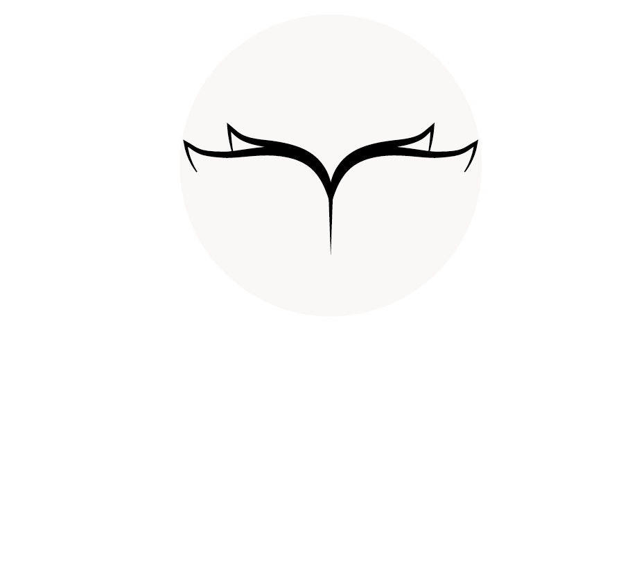 Kebikeç Seminerleri I