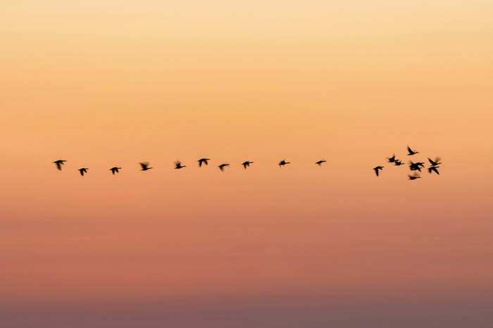 Beyond Numbers, Towards People: Role of Demographıc Data in Inclusive Local Planning Processes