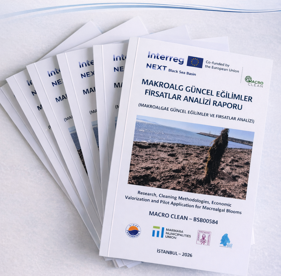 “Makroalg Güncel Eğilimler ve Fırsatlar Analizi Raporu” yayımlandı.}
