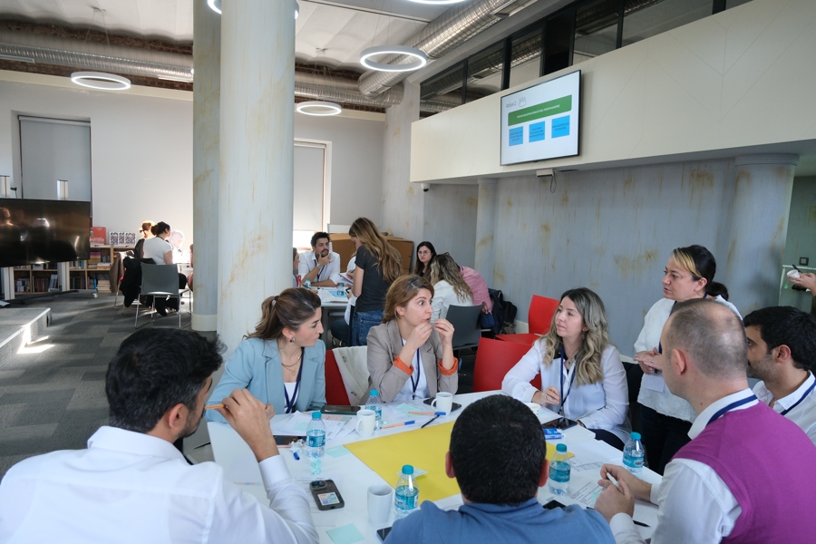 Participatory Workshop Organized Within The Scope of CLEMM Project}