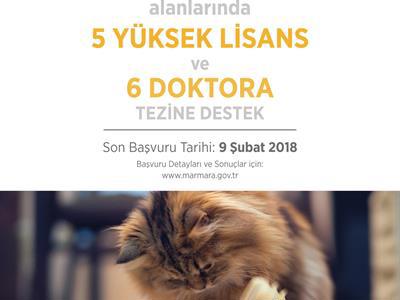 2018 Yılı Tez Desteği Başvuruları Başladı}