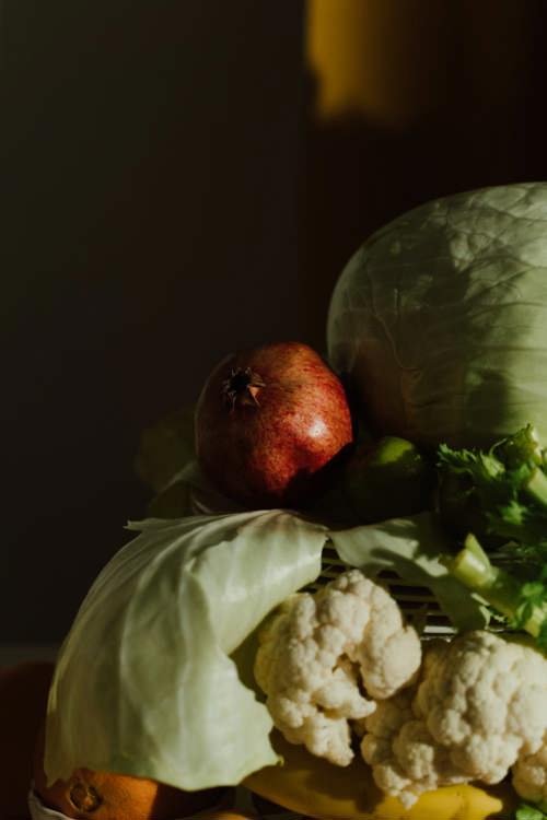 Tarım Üzerine Çalışan Kentler Agrıcıtıes’de Buluşuyor