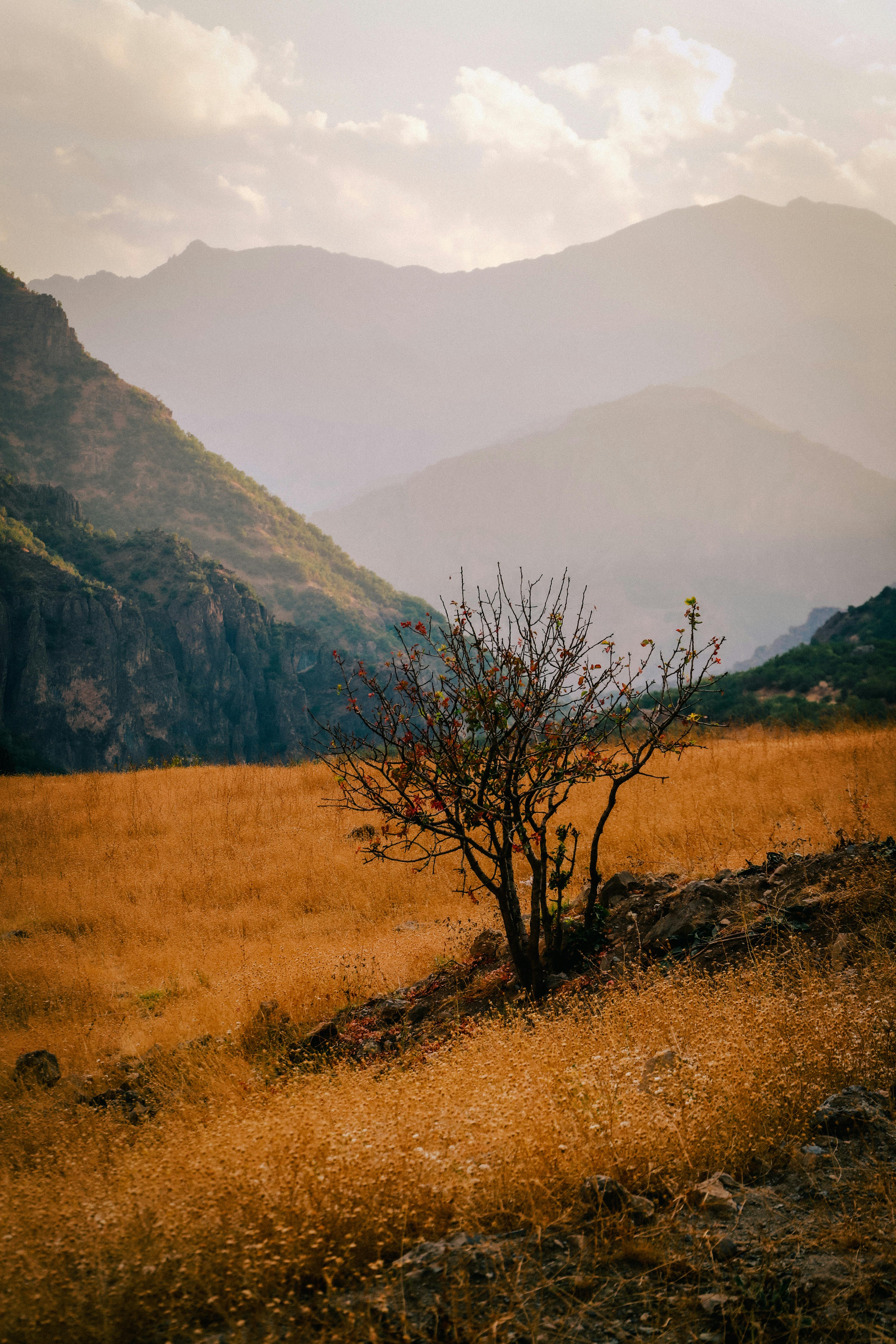 Avrupa Yerel Demokrasi Haftası’nda (ELDW) Partnerlik Başvuruları Başladı}