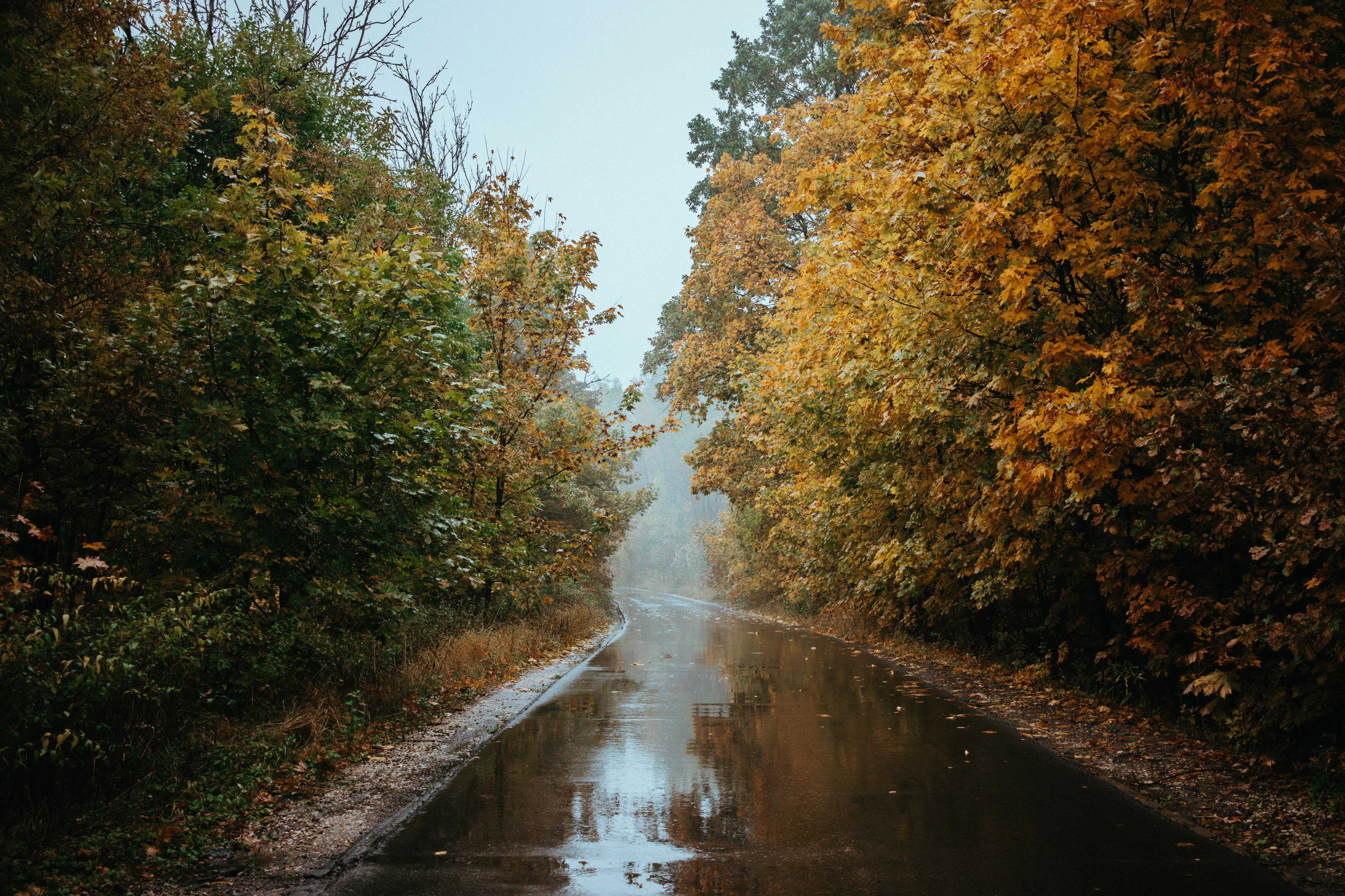 Covenant of Mayors Green Champions 2026 Başvuruları Açıldı}