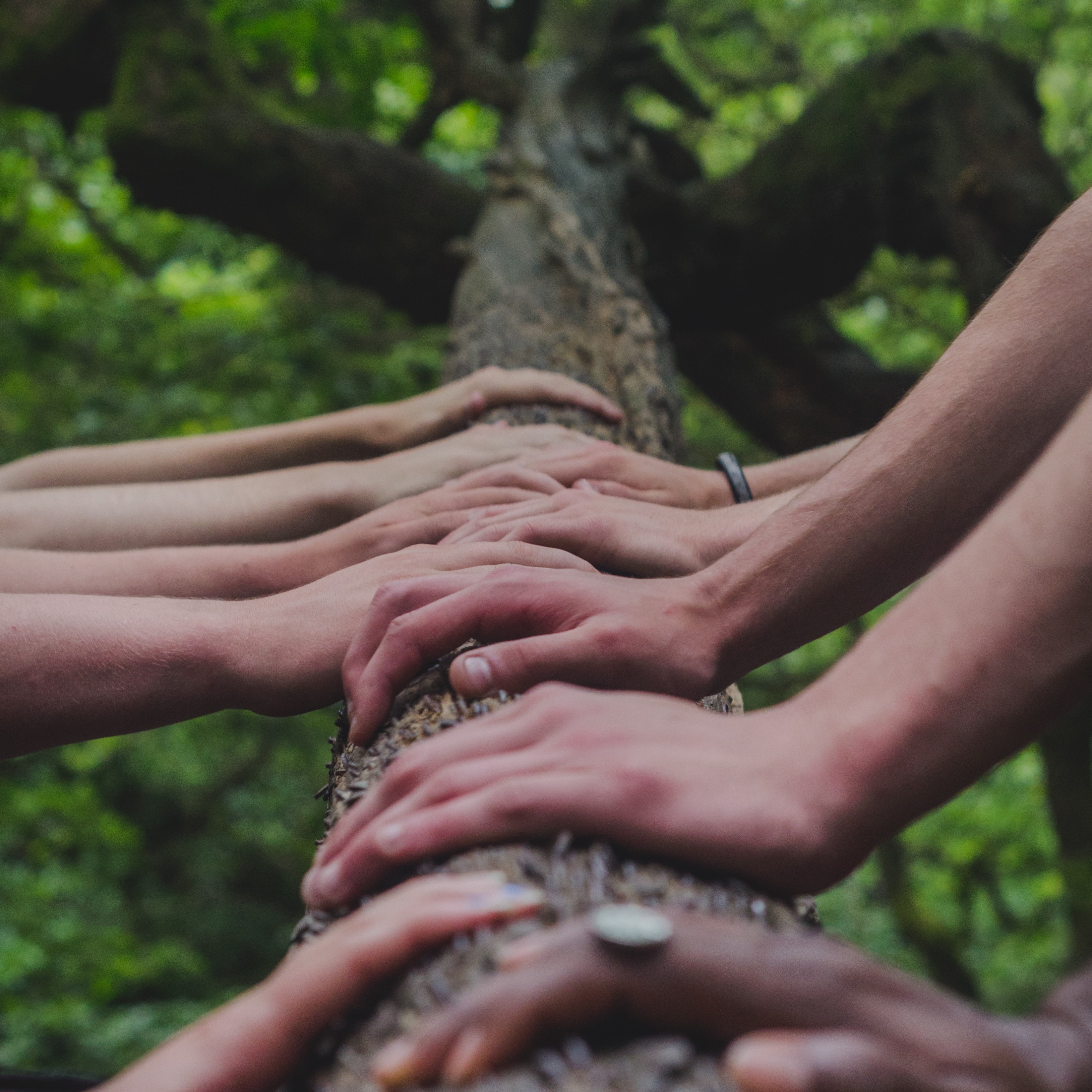 Social Services Platform}